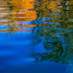 Gaias Reflection Left